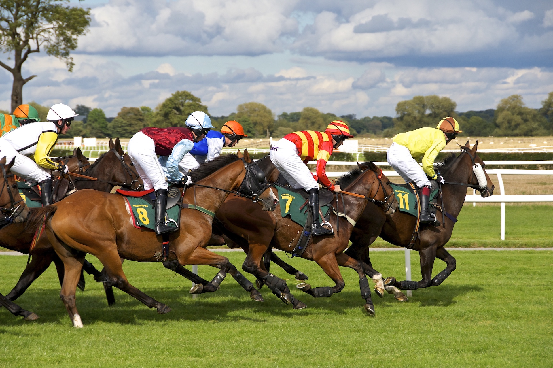 a horse race taking place for a racecourse staff agency